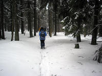 Hodslavice