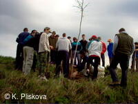 Petřvald