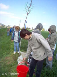 Petřvald