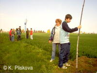 Petřvald