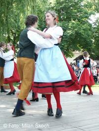 Jihočeský folklorní festival