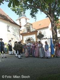 Jihočeské folklorní sdružení