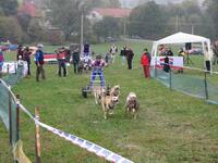 Trnávský sprint 2. ročník 14.-15.10.2006