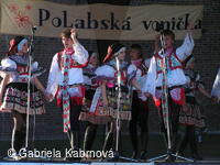 Folklorní festival Polabská Vonička