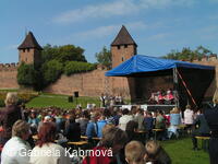 Folklorní festival Polabská Vonička