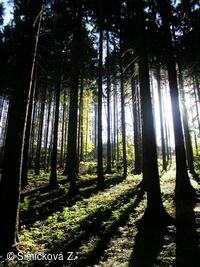 stíny