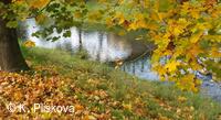 Petřvald