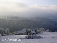 zima