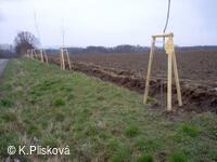 Petřvald