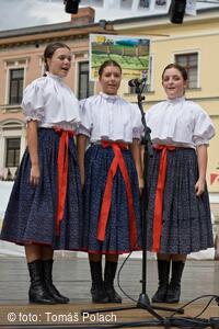 Mezinárodní folklorní festival Frýdek-Místek