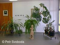 Základní a mateřská škola Bělotín