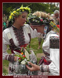 Mezinárodní folklorní festival Strážnice