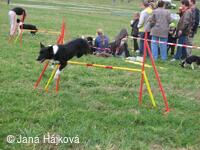 Trnávský sprint 4. ročník - 1. - 2.11.2008