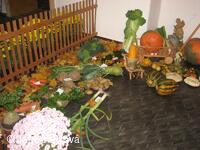 Výstava