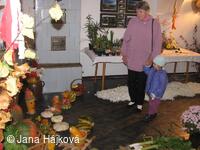 Výstava