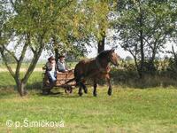 Hubertova jízda