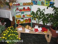 Trnávka