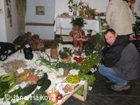 Trnávka