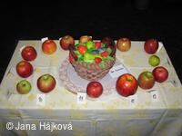 Trnávka