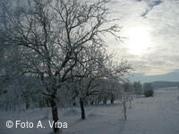 Mikroregion HORŇÁCKO