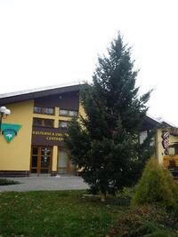 Sedlnice