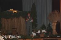Petřvald