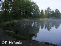 Petřvald