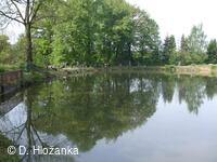 Petřvald