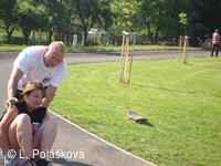 Petřvald