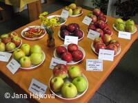 Podzimni vystava