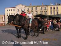 Den bez aut 2011