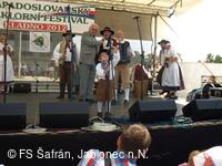 Šafrán, folklorní soubor