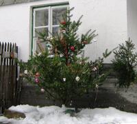 Foto 12