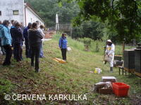 Medobraní s dětským dnem u Perníkové chaloupky 2011