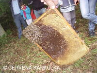 Medobraní s dětským dnem u Perníkové chaloupky 2011