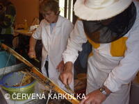 Medobraní s dětským dnem u Perníkové chaloupky 2011