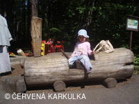 Medobraní s dětským dnem u Perníkové chaloupky 2011
