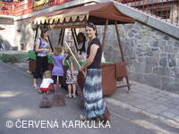 Medobraní s dětským dnem u Perníkové chaloupky 2011
