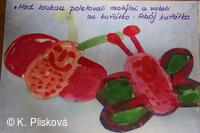 Obecní knihovna v Petřvaldě - knihovna, kde jste doma!
