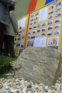 Petřvald